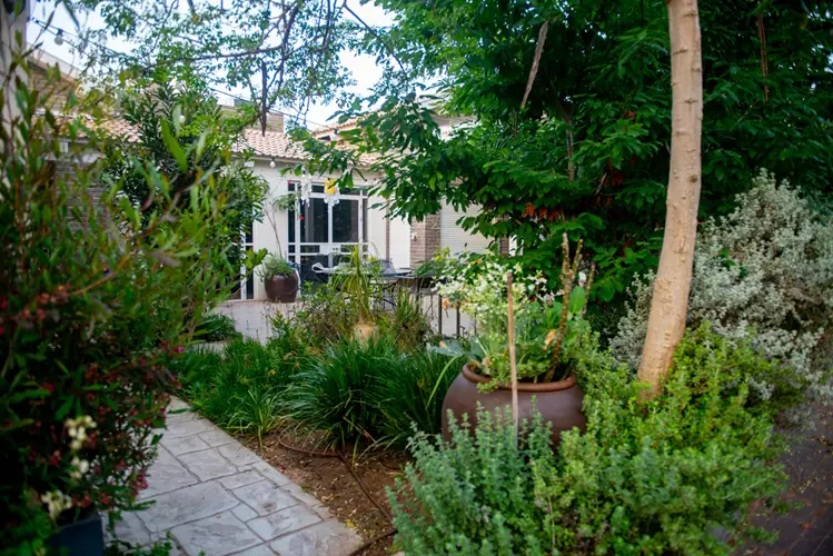 תכנון והקמת גינה מאפס 6